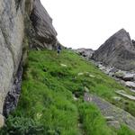 ...oder hohes Gras, führt nun der Bergweg sehr steil aber nicht ausgesetzt, an den Ausläufer des Zerfreilahorn aufwärts