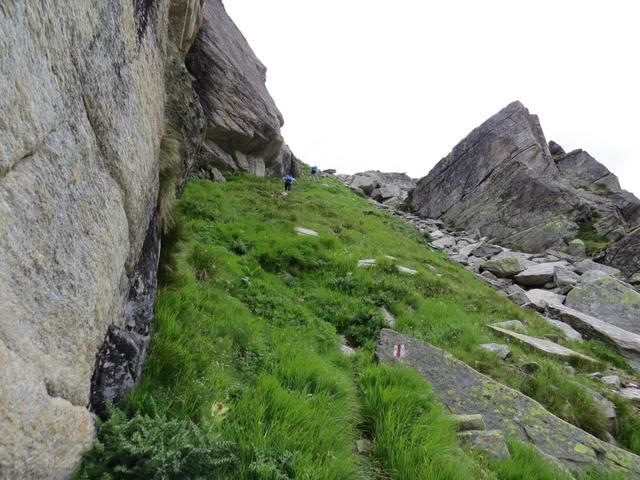 ...oder hohes Gras, führt nun der Bergweg sehr steil aber nicht ausgesetzt, an den Ausläufer des Zerfreilahorn aufwärts