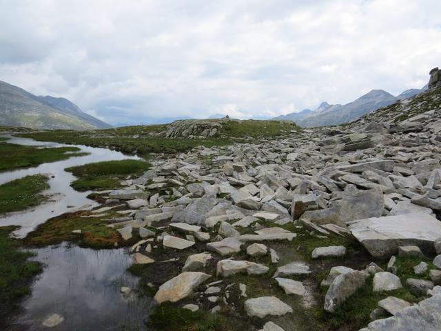 der Bergweg schwenkt zunächst kurz in Richtung Zerfreilahorn...