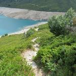 vor uns taucht endlich das Seeufer mit der Alpstrasse auf