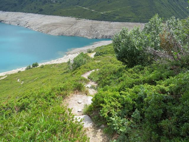 vor uns taucht endlich das Seeufer mit der Alpstrasse auf