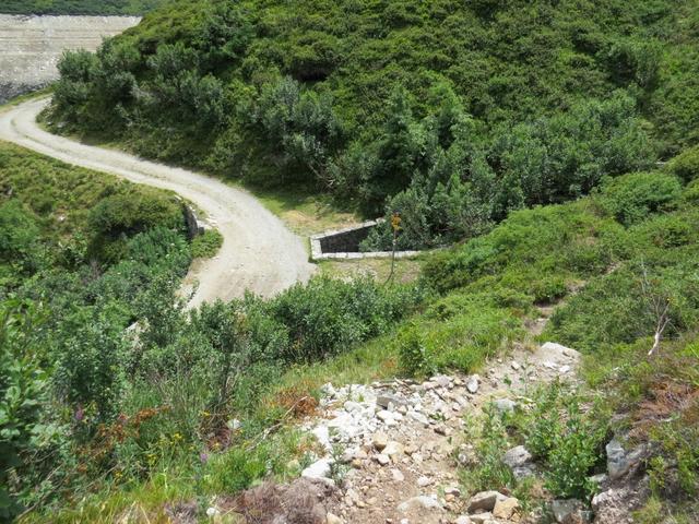 kurz nach Punkt 1872 m.ü.M. stossen wir auf die Alpstrasse