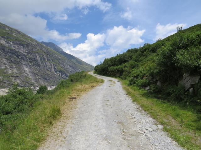 ...und wandern weiterhin auf der Alpstrasse bleibend, wieder leicht aufwärts