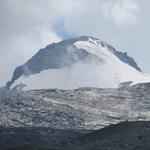 Blick hinauf zum Güferhorn