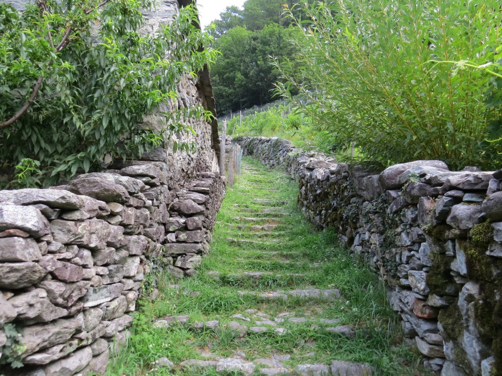 ...und über einen schön angelegten Treppenweg aufwärts