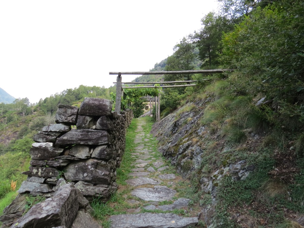 diese Wege wurden nur erstellt um das Vieh hinauf zu den Alpen zu führen