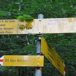 ...sondern wandern weiter geradeaus Richtung Rifugio Alpe Masnee