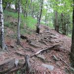 das wandern auf eher gleichbleibender Höhe hat nun sein Ende. Über einen Serpentinenweg geht es nun steil aufwärts