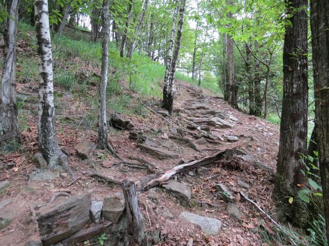 das wandern auf eher gleichbleibender Höhe hat nun sein Ende. Über einen Serpentinenweg geht es nun steil aufwärts