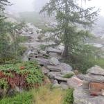 Nebel zieht auf. Mit GPS Gerät und die Richtung wissend, wo der Rifugio sich befindet, ist es für uns kein Problem