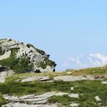 wir blicken zurück zum Aussichtspunkt mit Kreuz. Dahinter taucht das Massiv des Monte Rosa auf!