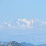 am Horizont blendet uns das Monte Rosa Massiv