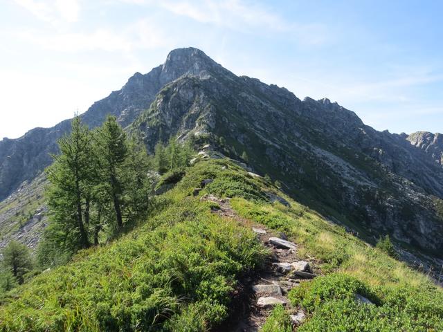 vom Passo Deva aus, geht es alles dem breiten Grat entlang Richtung Madom da Sgióf, der gut vor uns ersichtlich ist