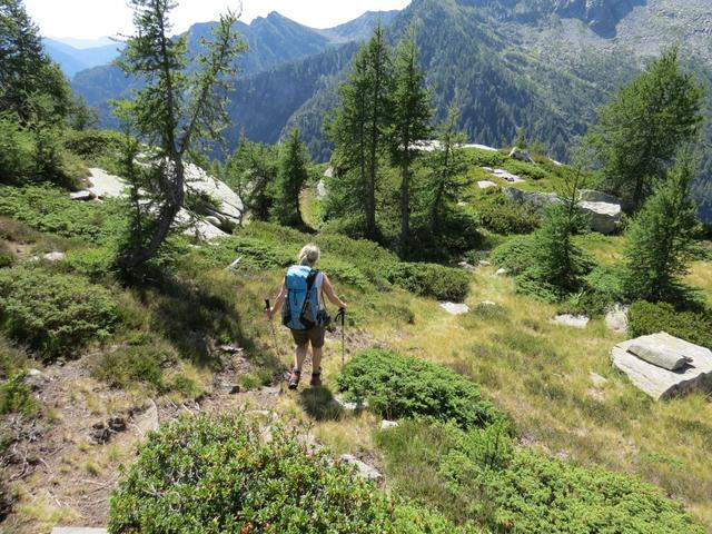 auf etwa 1780m erreichen wir eine Weggabelung