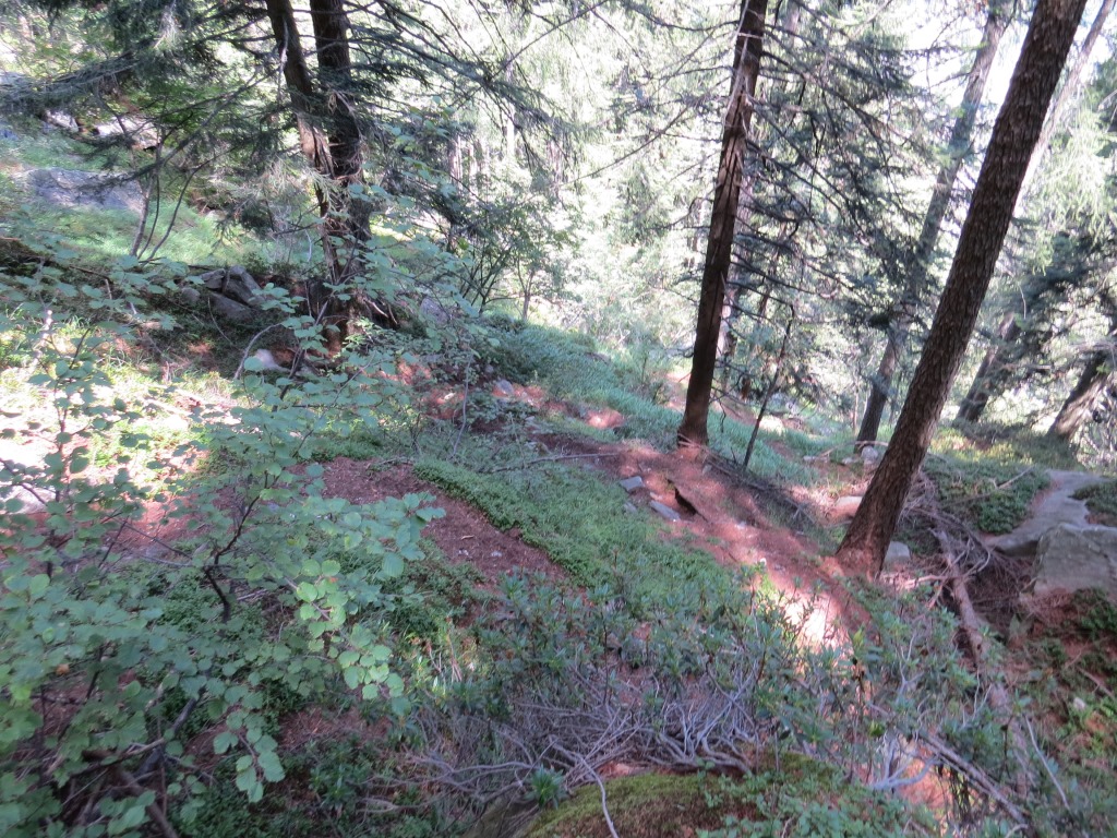 vorbei an Punkt 1632 m.ü.M. geht es danach durch den Wald von Ronsgee. Laufend verlieren wir an Höhe