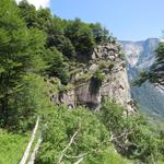 der Weg auch wieder aus Steinplatten, in uralter Zeit erstellt, führt alles dieser senkrechten Wand und durch einen Wald aufwä