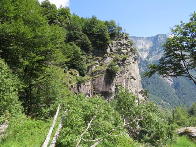 der Weg auch wieder aus Steinplatten, in uralter Zeit erstellt, führt alles dieser senkrechten Wand und durch einen Wald aufwä