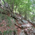 die uralten Steintreppen aus den grossen Gneisplatten, sind hier durch die Natur verschoben worden