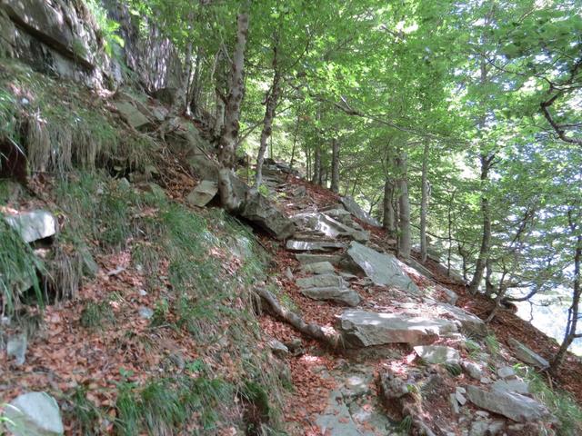 die uralten Steintreppen aus den grossen Gneisplatten, sind hier durch die Natur verschoben worden