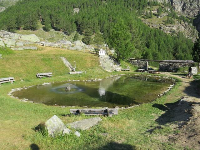 ...und wandern über diese wundervolle Geländeterrasse hoch über das Mattertal