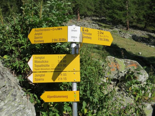 am oberen Ende der Alp Jungen erreichen wir eine Weggabelung 2000 m.ü.M.