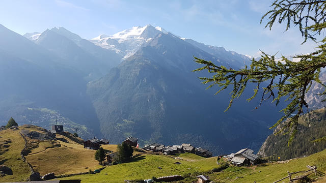 auf der gegenüberliegende Talseite grüsst der Riedgletscher und die Mischabelkette