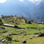 Blick auf die kleine Wiesenterrasse der Alpsiedlung Jungu