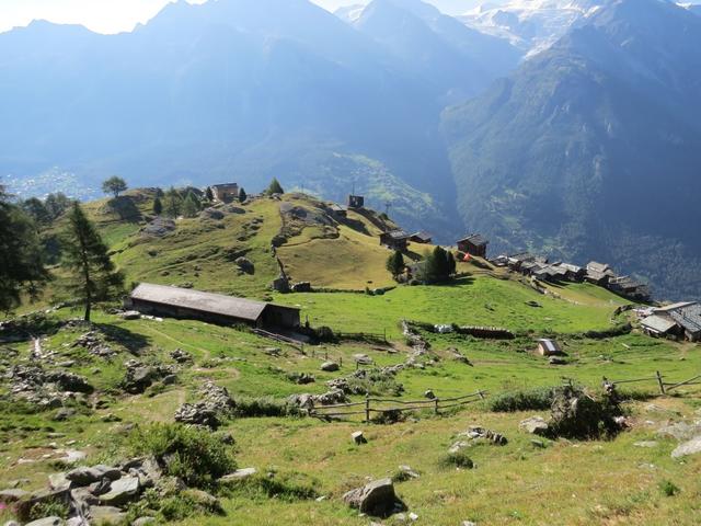 Blick auf die kleine Wiesenterrasse der Alpsiedlung Jungu