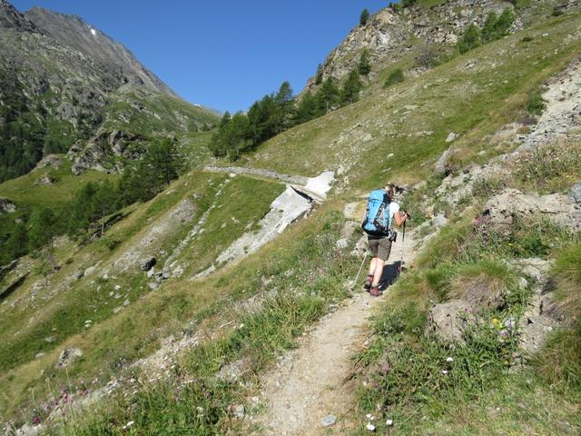 wir biegen rechts ab, lassen den Wald hinter uns, und laufen immer höher den Berg hinauf