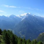 über dem Riedgletscher türmen sich Ulrichshorn, Lenzspitze, Nadelhorn und Dürrenhorn, dahinter Täschhorn und der Dom