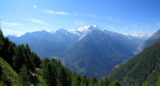 über dem Riedgletscher türmen sich Ulrichshorn, Lenzspitze, Nadelhorn und Dürrenhorn, dahinter Täschhorn und der Dom