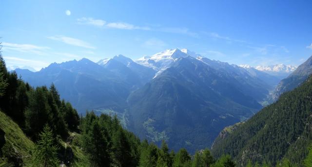über dem Riedgletscher türmen sich Ulrichshorn, Lenzspitze, Nadelhorn und Dürrenhorn, dahinter Täschhorn und der Dom