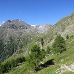 wir blicken zurück ins Jungtal. Ganz links das Weisshorn