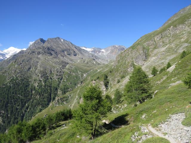 wir blicken zurück ins Jungtal. Ganz links das Weisshorn