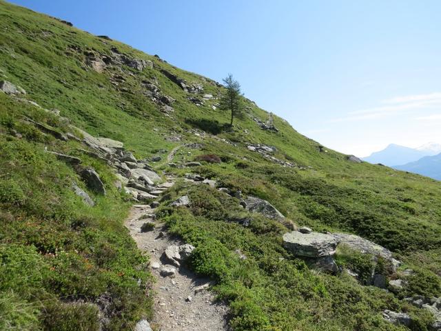 bei der nächsten Schleife 2360 m.ü.M. wenden wir uns in nordöstlicher Richtung nach rechts