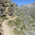 auf dem auslaufenden Grat der Twära 2454 m.ü.M. - sie trennt das Jungtal im Süden vom Augstbord im Norden -...