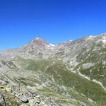 direkt vor uns am Horizont ist der Augstbordpass ersichtlich. Rechts davon das Schwarzhorn