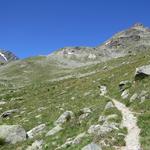 der Wanderweg führt uns schliesslich gegen Westen flach ins Inners Tälli hinein