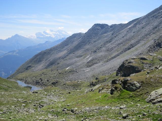 Blick zurück zum Nordhang des Steitalgrats den wir durchquert haben. Am Horizont erkennt man Monte Leone und Fletschhorn