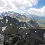 super schönes Breitbildfoto. Links meine Maus, danach Dom, Weisshorn und rechts das Turtmanntal