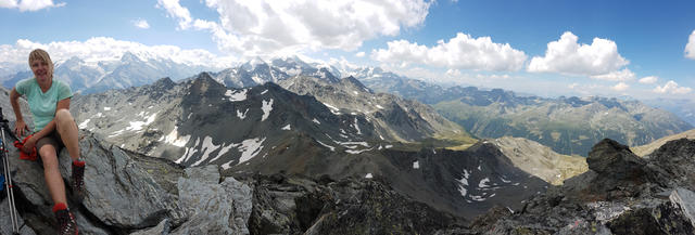 super schönes Breitbildfoto. Links meine Maus, danach Dom, Weisshorn und rechts das Turtmanntal