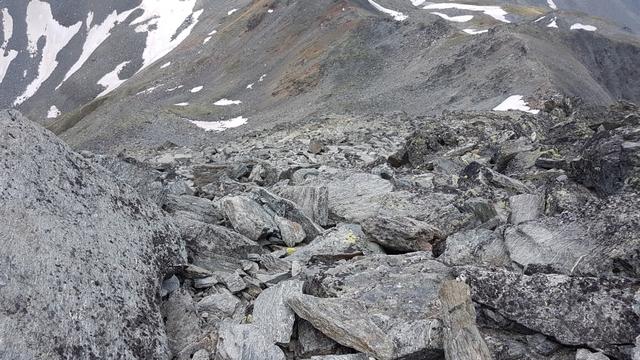 beim Gipfelaufbau 3020 m.ü.M. Blockschutt und Geröll soweit das Auge reicht