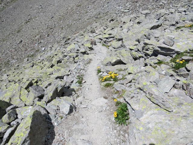 in einigen Kehren absteigend, gelangen wir ins Grüobtälli 2643 m.ü.M,...