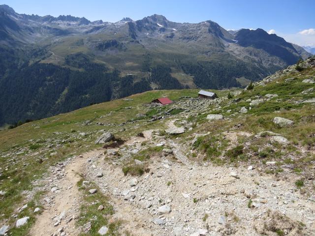 ...und erreichen kurze Zeit später die Alpsiedlung auf Oberstafel 2370 m.ü.M.