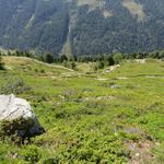 über zahlreiche Kehren eines Pfades steigen wir ab, und lassen links und rechts wegziehende Wanderwege unbeachtet