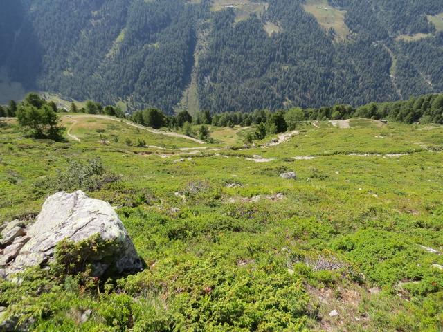 über zahlreiche Kehren eines Pfades steigen wir ab, und lassen links und rechts wegziehende Wanderwege unbeachtet