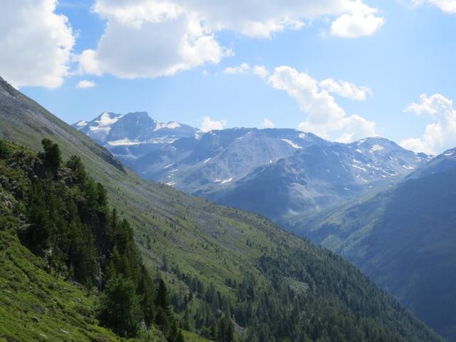 wir geniessen eine traumhafte Aussicht. Im Süden schliesst der Turtmanngletscher, bewacht von den Diablons, das Tal ab