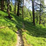 ...zieht der Weg auf der westlichen Talseite, über die Steilstufe hinauf