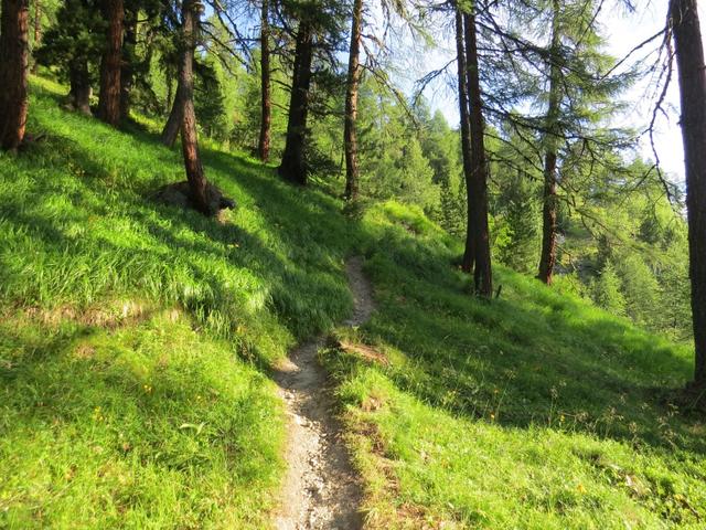 ...zieht der Weg auf der westlichen Talseite, über die Steilstufe hinauf