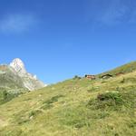 bei Punkt 2082 M.ü.M. folgen wir eine lange Querung, und verlassen danach den Wald